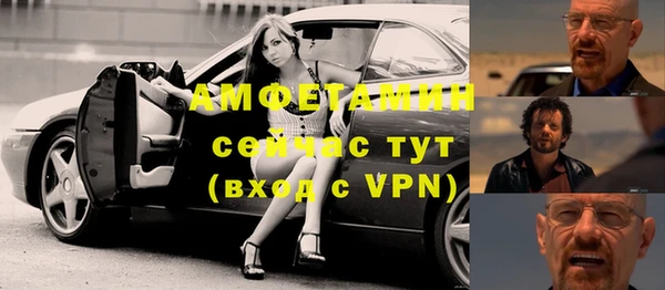 шишки Инта