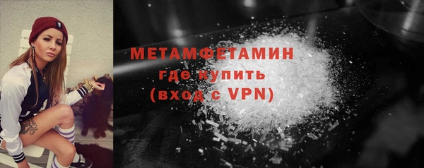 шишки Инта
