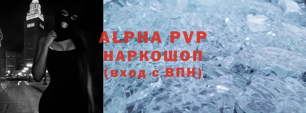 apvp Иннополис
