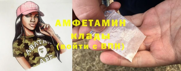 apvp Иннополис