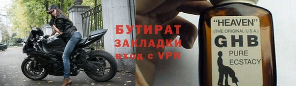 шишки Инта
