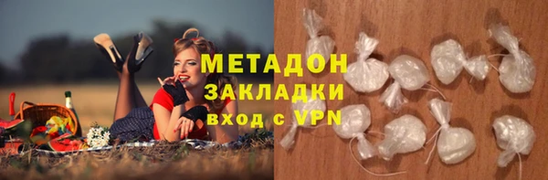 шишки Инта