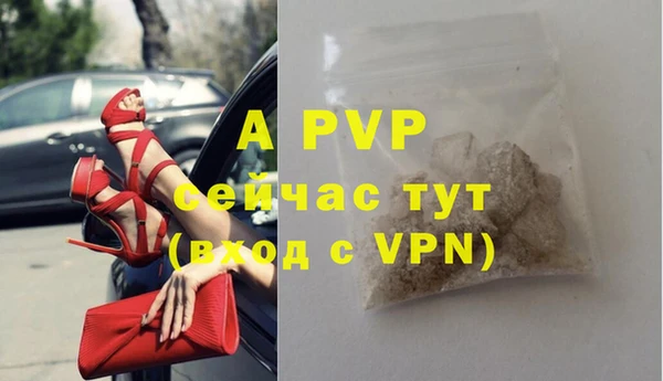 шишки Инта