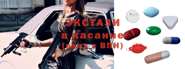 шишки Инта