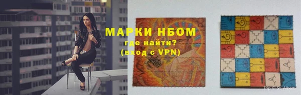шишки Инта