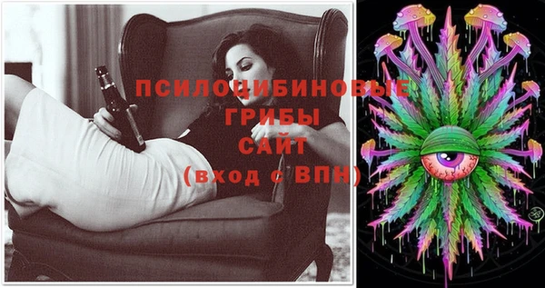 шишки Инта