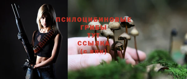 прущие грибы Инсар