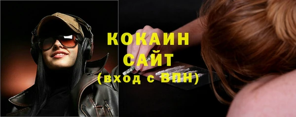 apvp Иннополис