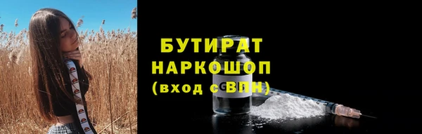 шишки Инта