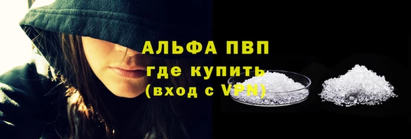 прущие грибы Инсар