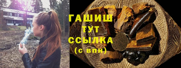 шишки Инта