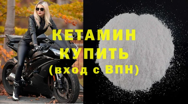 прущие грибы Инсар