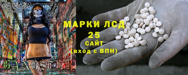 шишки Инта