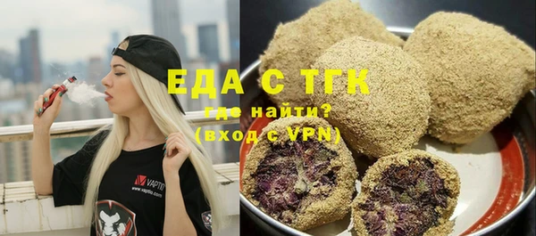 шишки Инта