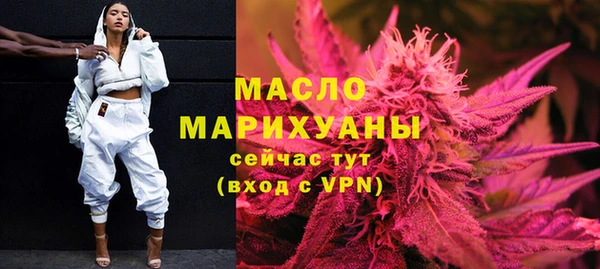 шишки Инта