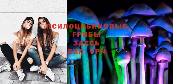 шишки Инта