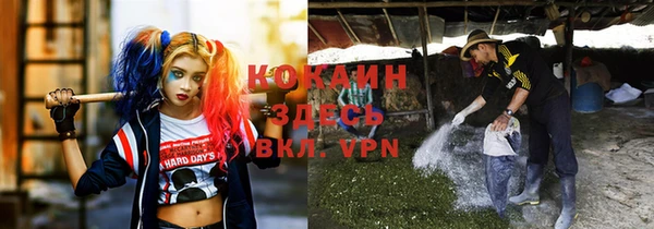 прущие грибы Инсар
