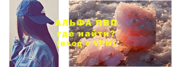 прущие грибы Инсар