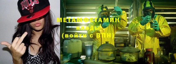 прущие грибы Инсар