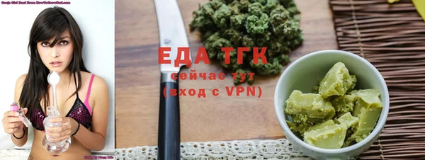 шишки Инта