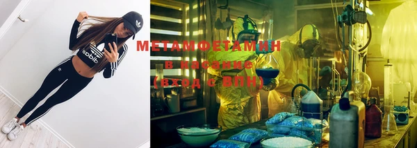 шишки Инта