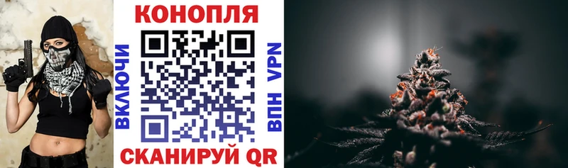 Бошки Шишки VHQ Долгопрудный